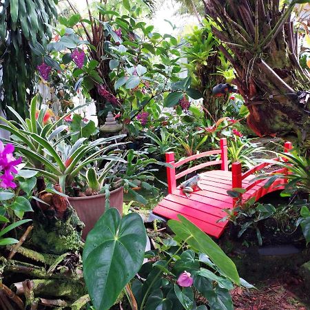 Paradise Cottage At Anthurium Hale Hilo Eksteriør billede