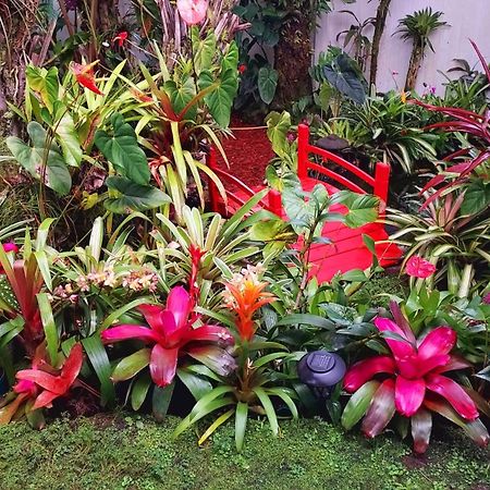 Paradise Cottage At Anthurium Hale Hilo Eksteriør billede
