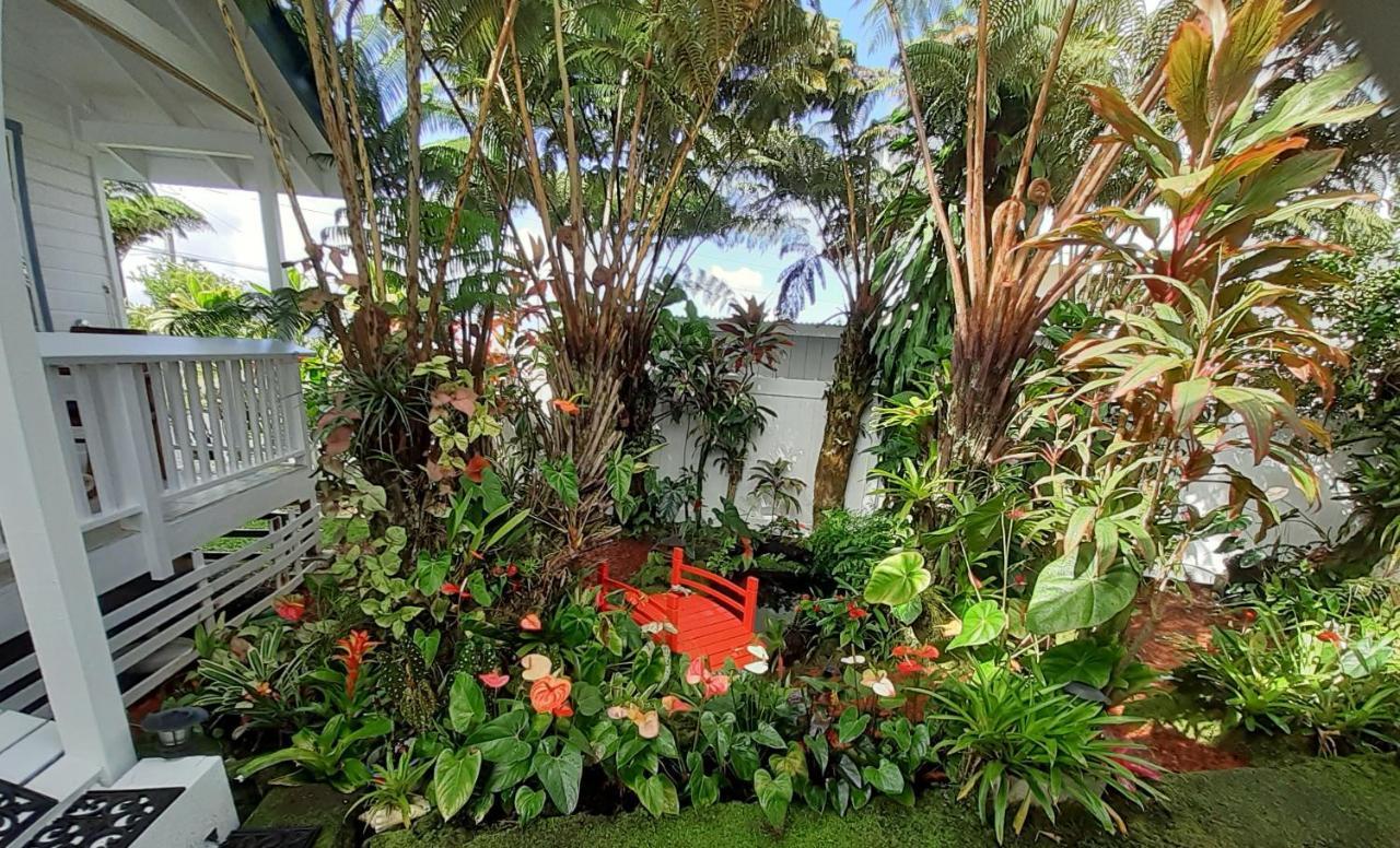 Paradise Cottage At Anthurium Hale Hilo Eksteriør billede