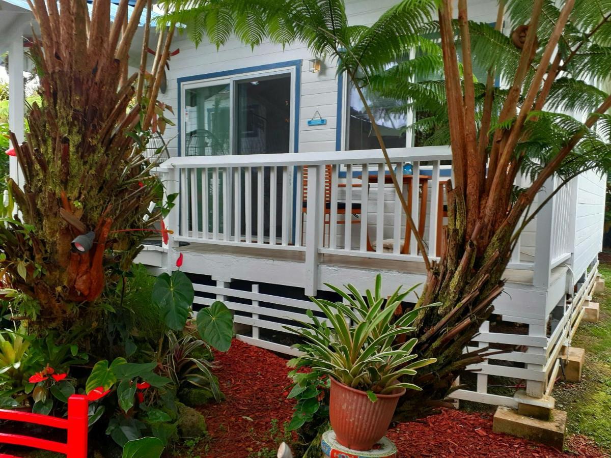 Paradise Cottage At Anthurium Hale Hilo Eksteriør billede