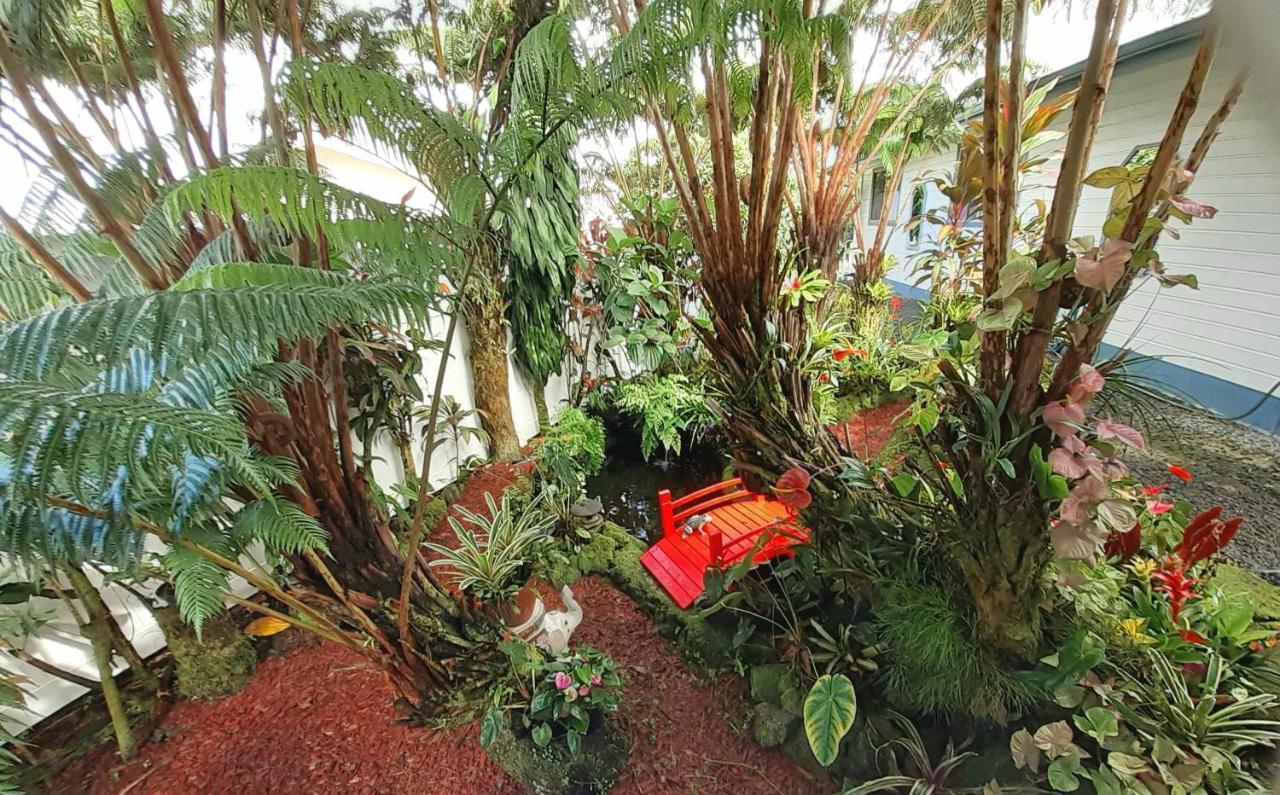 Paradise Cottage At Anthurium Hale Hilo Eksteriør billede