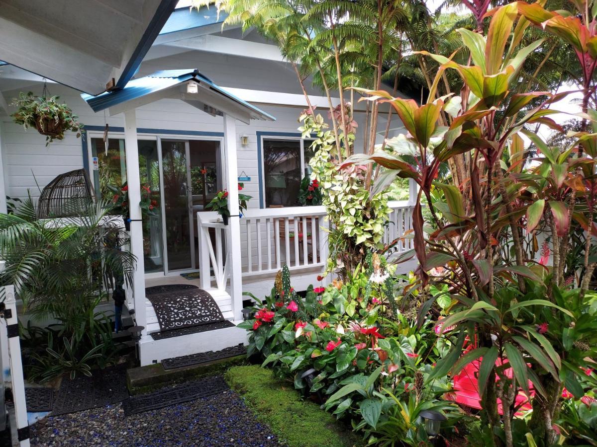 Paradise Cottage At Anthurium Hale Hilo Eksteriør billede