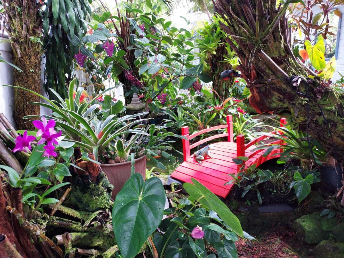 Paradise Cottage At Anthurium Hale Hilo Eksteriør billede